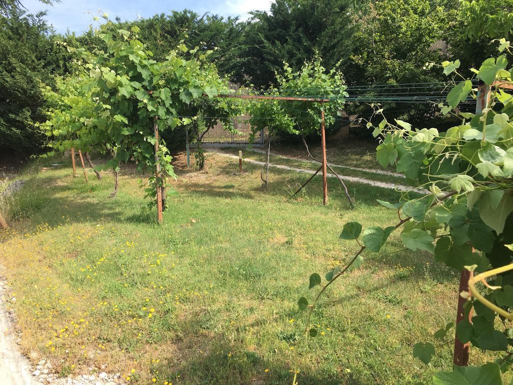 Assisi Villa Randr San Vitale Екстер'єр фото